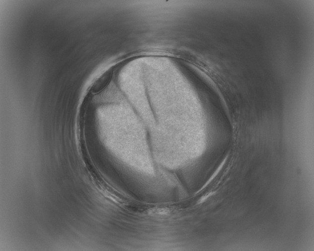 X0000054400294200508192012