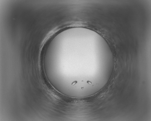 X0000054400296200508192012