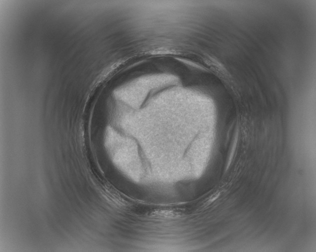 X0000054400298200508192012