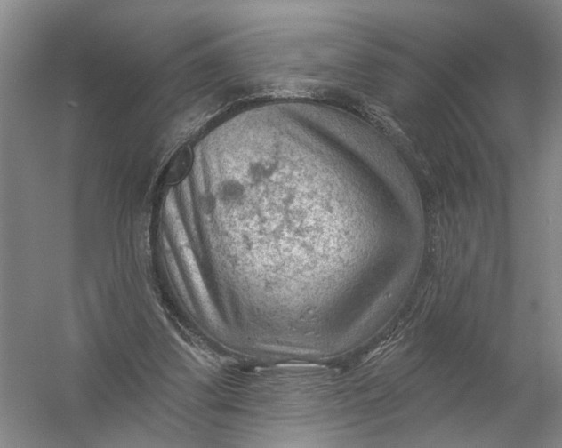 X0000054400299200508192012