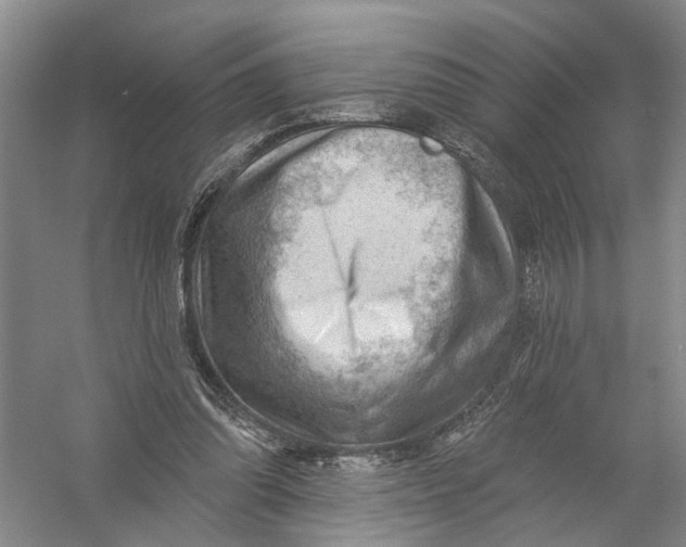 X0000054400302200508192012