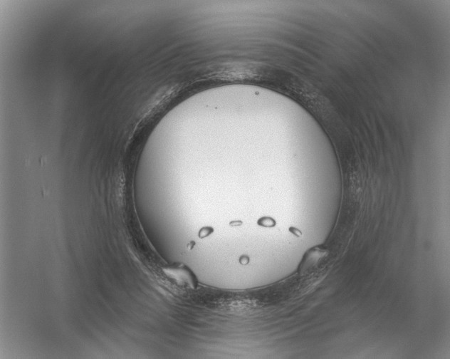 X0000054400304200508192012