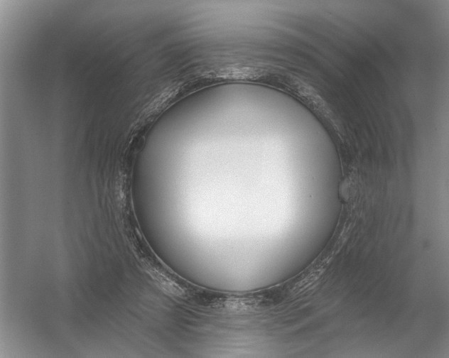 X0000054400305200508192012