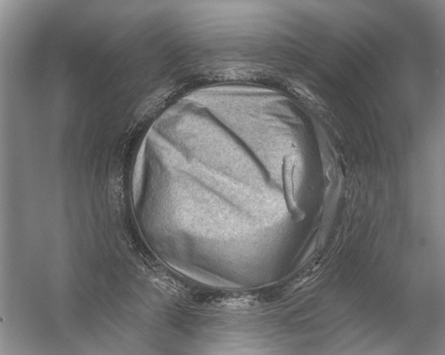 X0000054400306200508192012