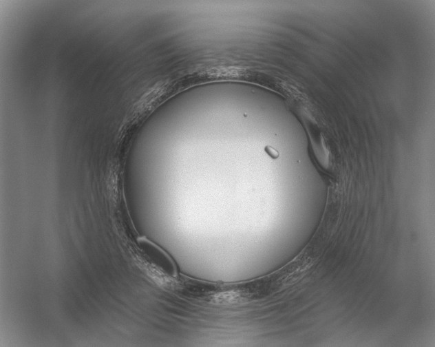 X0000054400309200508192012