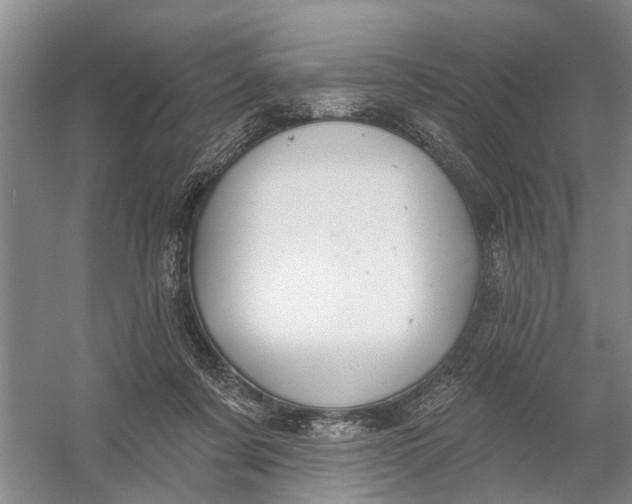 X0000054400311200508192012