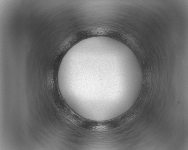 X0000054400312200508192012