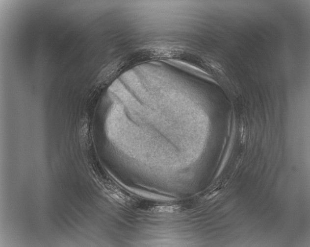 X0000054400314200508192012