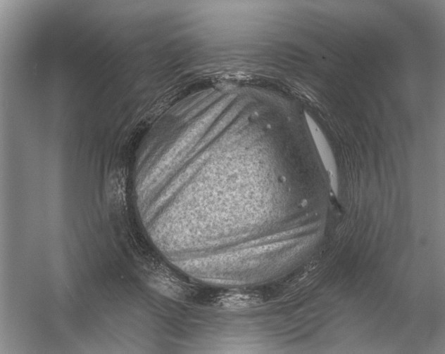 X0000054400315200508192012