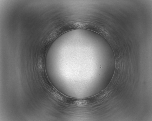 X0000054400317200508192012