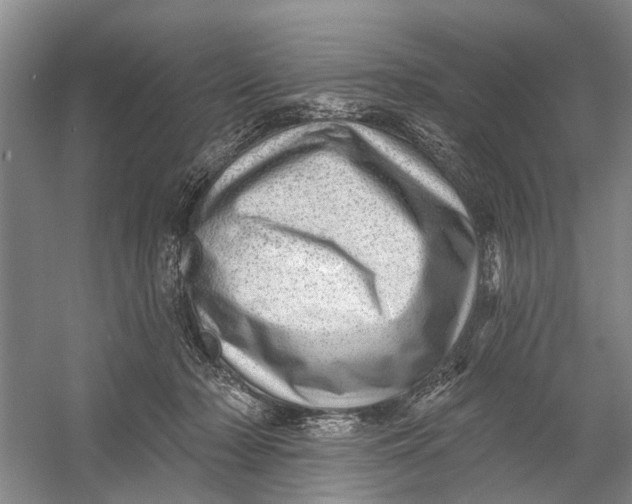 X0000054400318200508192012