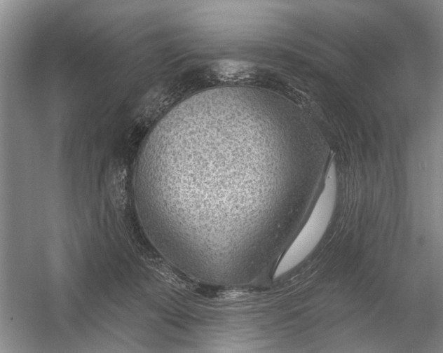 X0000054400319200508192012