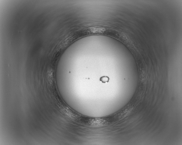 X0000054400321200508192012