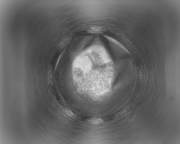 X0000054400322200508192012