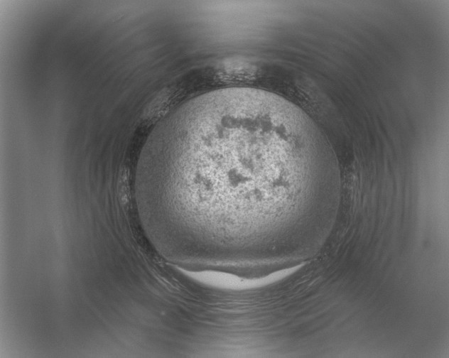 X0000054400323200508192012