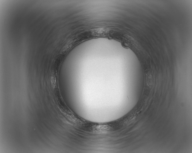 X0000054400324200508192012