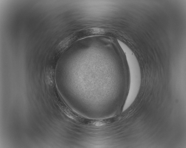 X0000054400325200508192012