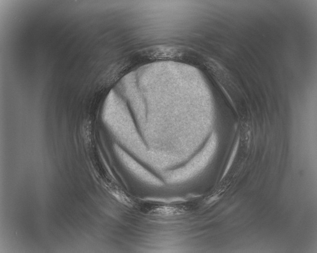 X0000054400326200508192011