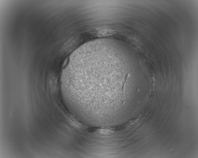 X0000054400327200508192011