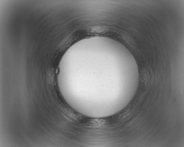 X0000054400328200508192011