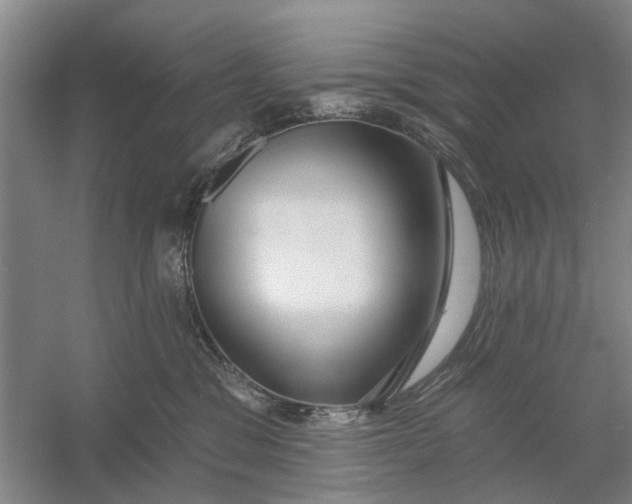 X0000054400329200508192011