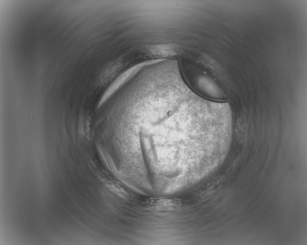 X0000054400330200508192011