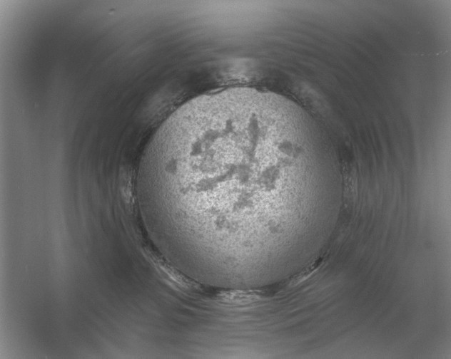 X0000054400331200508192011