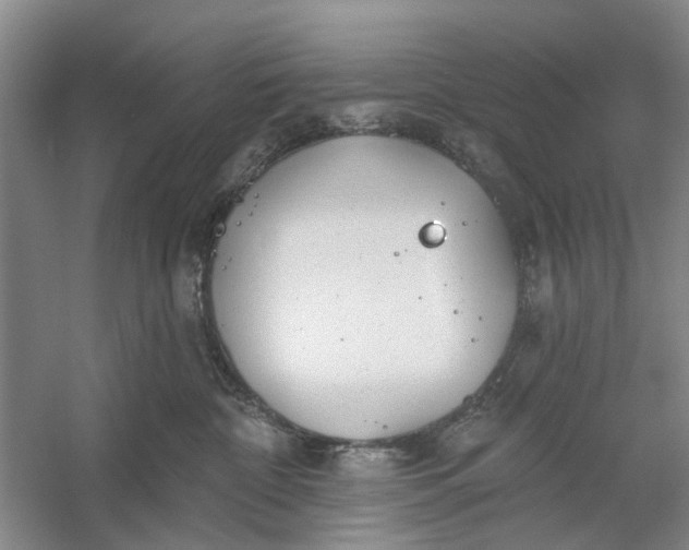 X0000054400332200508192011