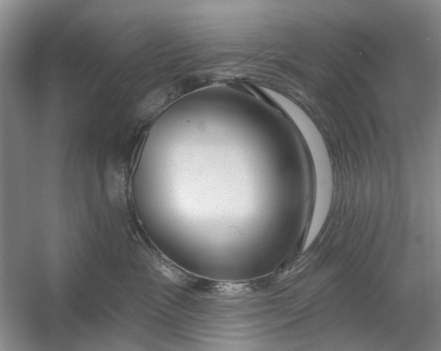 X0000054400333200508192011