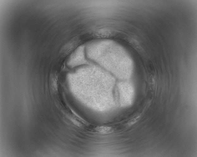 X0000054400334200508192011