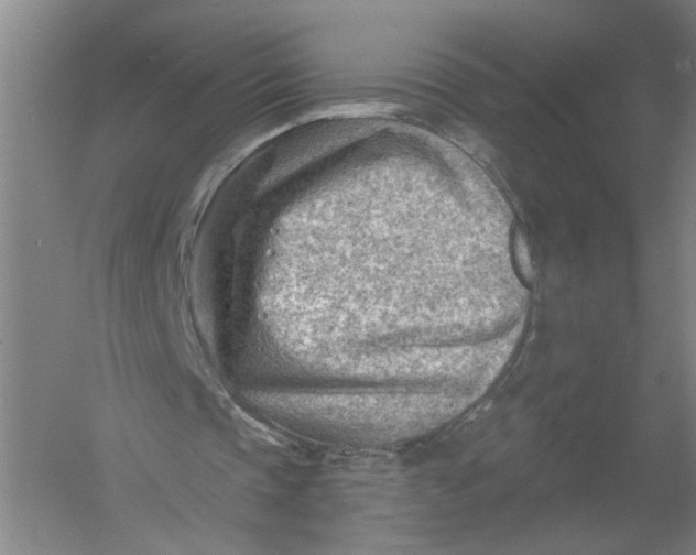 X0000054400337200508192011