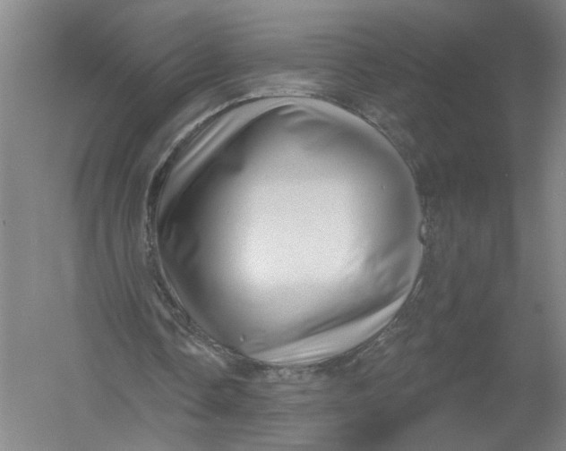 X0000054400338200508192011