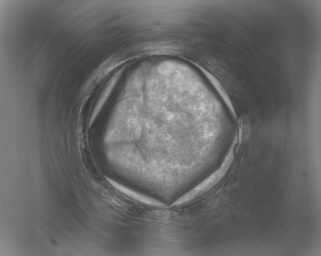 X0000054400339200508192011