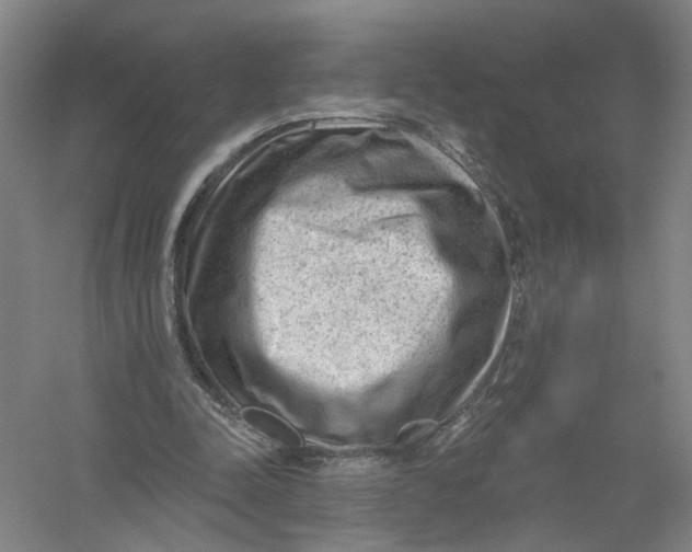 X0000054400342200508192011