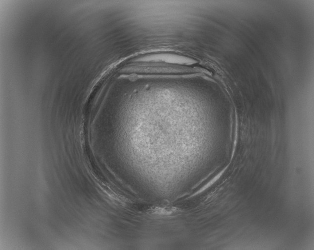 X0000054400346200508192011