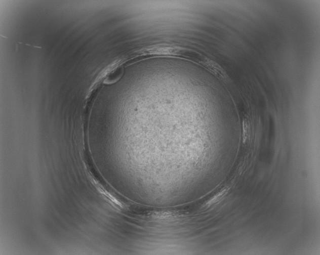 X0000054400349200508192011