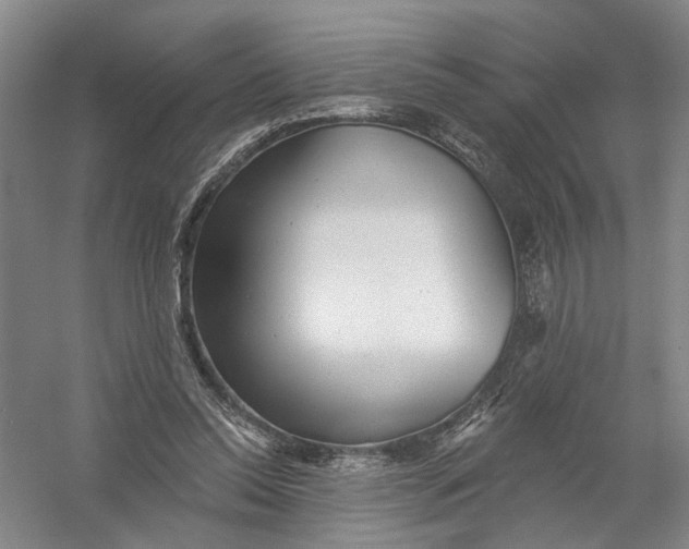 X0000054400350200508192011