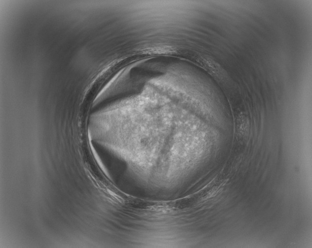 X0000054400351200508192011