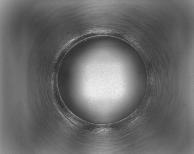 X0000054400352200508192011