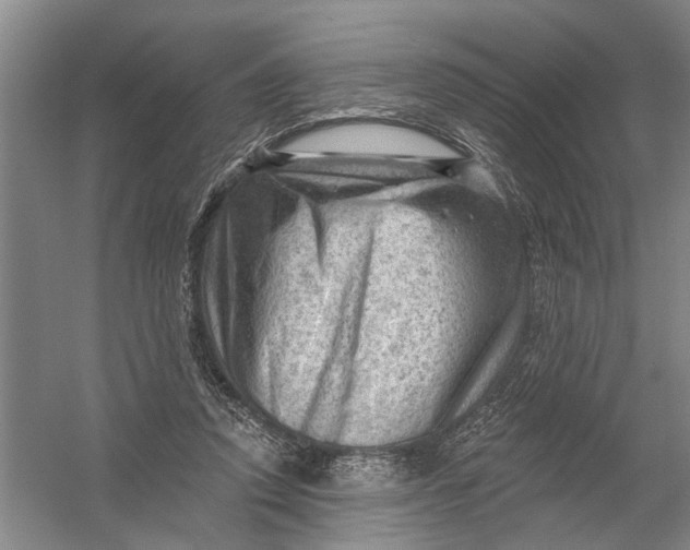 X0000054400354200508192011