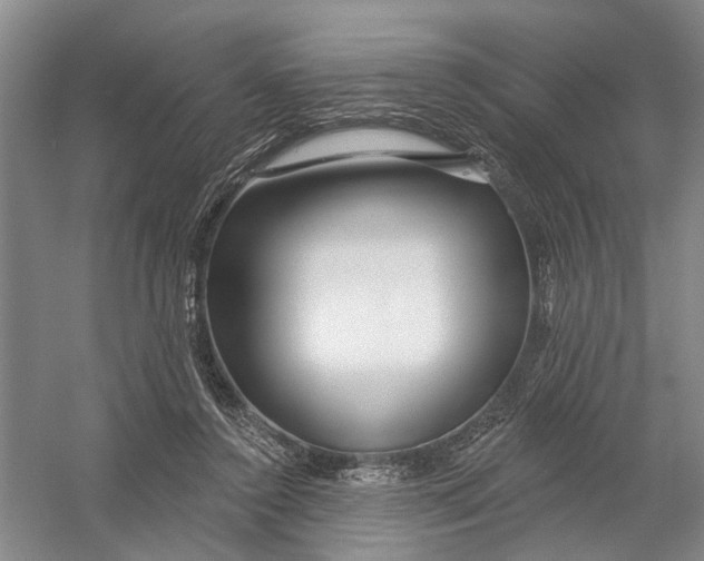 X0000054400356200508192011