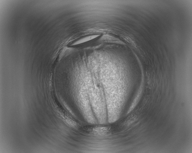 X0000054400357200508192011