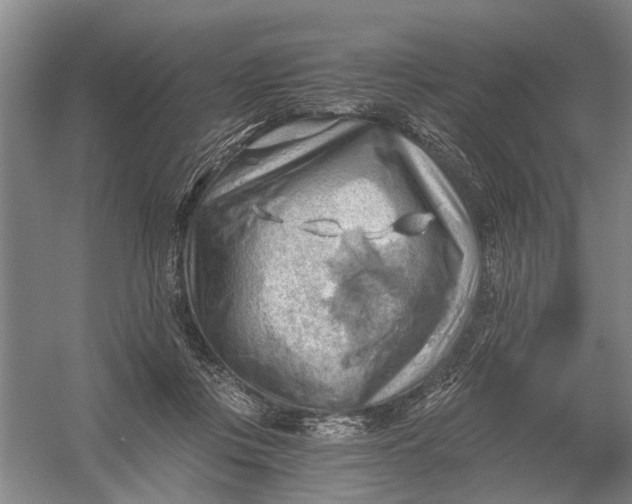 X0000054400359200508192011