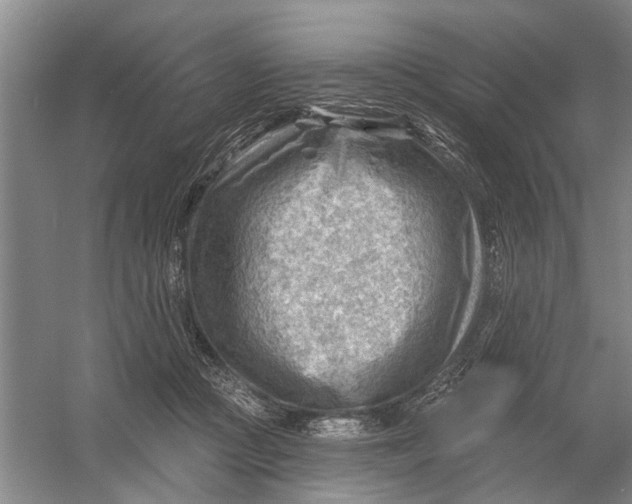 X0000054400361200508192011