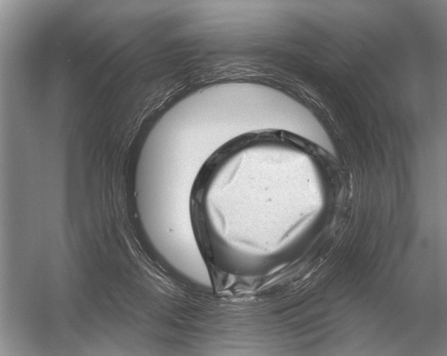 X0000054400362200508192011