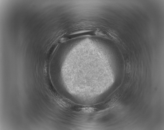 X0000054400363200508192011