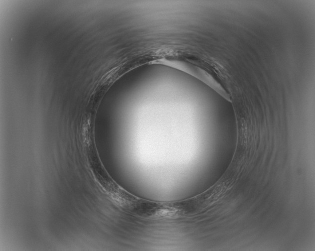 X0000054400364200508192011