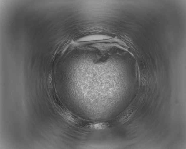 X0000054400365200508192011