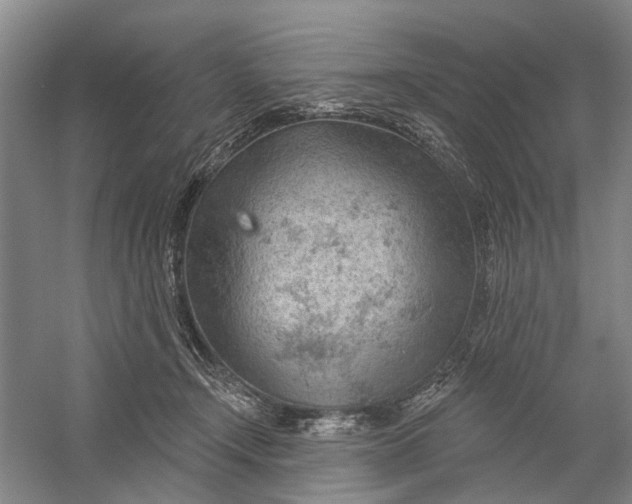 X0000054400366200508192011