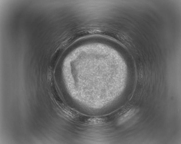 X0000054400367200508192011